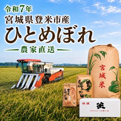 米 令和7年産 宮城県産 登米市産 ひとめぼれ 玄米 30kg (5kg×6袋) 一