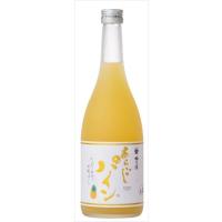 梅乃宿 あらごしパイン パイン酒 果実酒 リキュール 日本酒 720ml×6本 | 御用蔵 大川