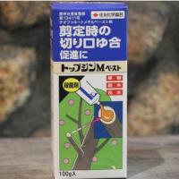 トップジンMペースト 100g入 住友化学園芸 園芸用 癒合剤 | グリーンプラザ山長ヤフーショッピング店