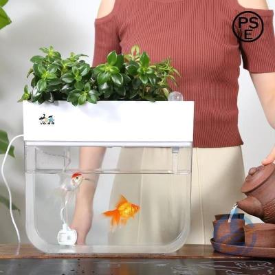 アクアポニックス 60cm 水槽の商品一覧 通販 - Yahoo!ショッピング