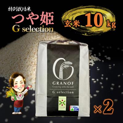 つや姫 玄米の商品一覧 通販 - Yahoo!ショッピング