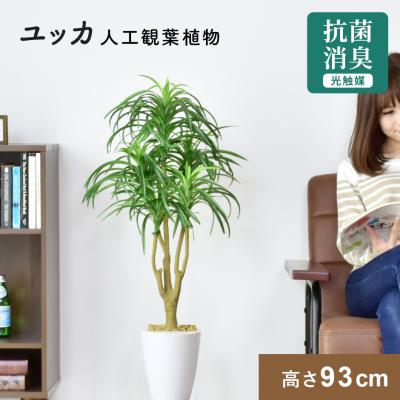 人工観葉植物ユッカのおすすめ人気商品一覧 通販 - Yahoo!ショッピング