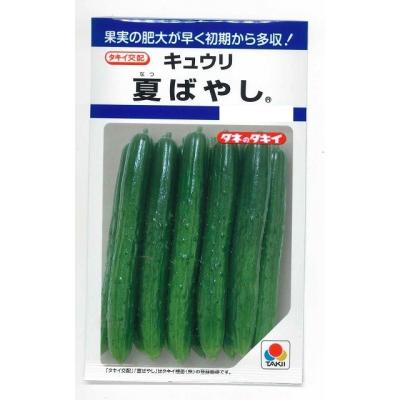 グリーンロフトネモト - キュウリ｜Yahoo!ショッピング
