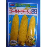 ゴールドラッシュ90 2000粒のおすすめ人気商品一覧 通販 - Yahoo
