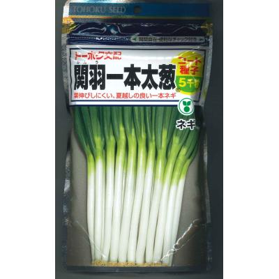 【ながねぎ】 Amazon | サカタのタネ 実咲野菜3805 ネギ 極太一本ねぎ 夏扇