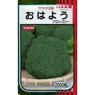 ブロッコリー おはようのおすすめ人気商品一覧 通販 - Yahoo!ショッピング