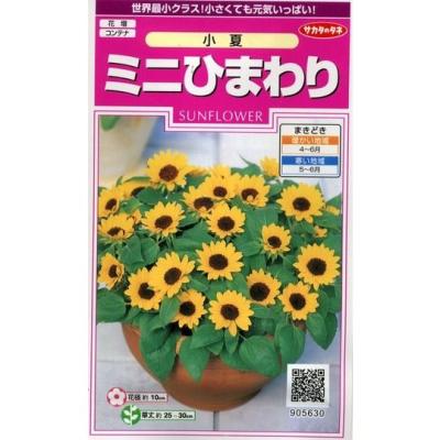 ミニひまわりの種（花の種）｜種、種子 | 花、ガーデニング のおすすめ