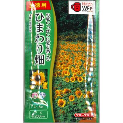 大輪ひまわりの種のおすすめ人気商品一覧 通販 - Yahoo!ショッピング
