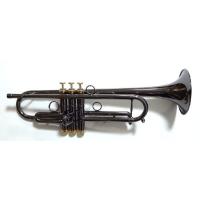 管楽器専門店 Groovin Trumpet - Queen Brass ZORRO(ゾロ 管楽器専門店 Groovin Trumpet - Queen Brass ZORRO(ゾロ