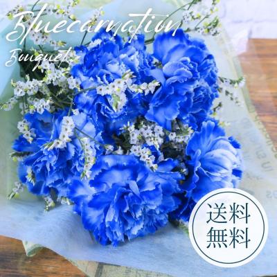 青い花（花種類：カーネーション）の商品一覧 通販 - Yahoo!ショッピング