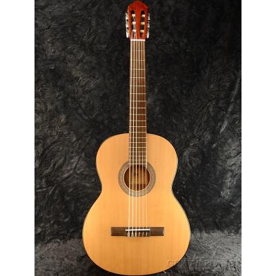 cort guitar（アコースティックギター、クラシックギター本体