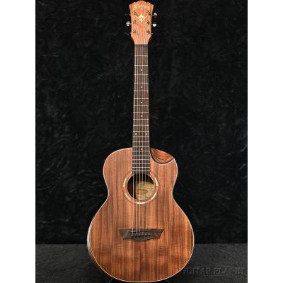 washburn アコースティックギター（アコースティックギター