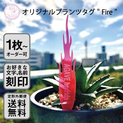 アガベ プレートの商品一覧 通販 - Yahoo!ショッピング