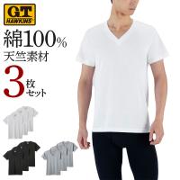 グンゼ GUNZE GTホーキンス 綿100% Ｔシャツ 3枚組 メンズ セット 半袖 Vネック 天竺 インナーシャツ 通年 G.T.HAWKINS | グンゼ公式ヤフー店