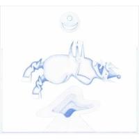 輸入盤 DEVENDRA BANHART / APE IN PINK MARBLE [CD] | ぐるぐる王国 ヤフー店