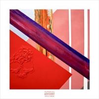 輸入盤 LUPE FIASCO / TETSUO ＆ YOUTH [CD] | ぐるぐる王国 ヤフー店