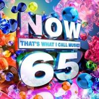 輸入盤 VARIOUS / NOW 65： THAT’S WHAT I CALL MUSIC [CD] | ぐるぐる王国 ヤフー店
