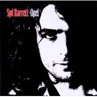 輸入盤 SYD BARRETT / OPEL [LP] | ぐるぐる王国 ヤフー店