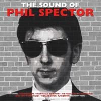 輸入盤 VARIOUS ARTISTS / SOUND OF PHIL SPECTOR [LP] | ぐるぐる王国 ヤフー店