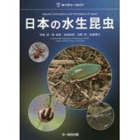 日本の水生昆虫 | ぐるぐる王国 ヤフー店