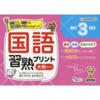 国語習熟プリント 学校でも、家庭でも教科書レベルの力がつく! 小学3年生 大判サイズ | ぐるぐる王国 ヤフー店