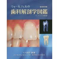 ウォールフェルの歯科解剖学図鑑 ペーパーバック普及版 | ぐるぐる王国 ヤフー店