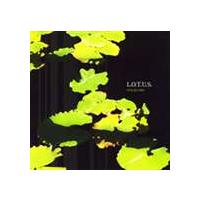 L.O.T.U.S. / FOLKLORE [CD] | ぐるぐる王国 ヤフー店