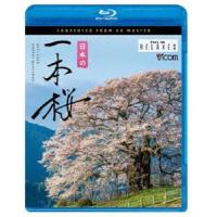 ビコム Relaxes BD 日本の一本桜 4K撮影作品 [Blu-ray] | ぐるぐる王国 ヤフー店