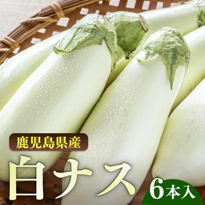 白なすの商品一覧 通販 - Yahoo!ショッピング
