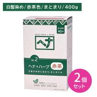 【2個セット】ヘナ＋ハーブ No.2 赤茶 400g 白髪染め まとまり さらさら しっとり 頭皮に優しい 艶 ツヤ しなやか 植物100％ へアカラー セルフ ナイアード | 業務ドラッグYahoo!店