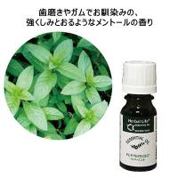 【アウトレット】生活の木 エッセンシャルオイル ペパーミント 1本（10mL）