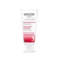 【ワゴンセール】WELEDA（ヴェレダ） 歯みがき プラント 75ml