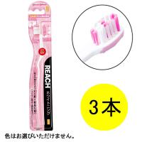 リーチ ホワイトニング やわらかめ（美白） 3本 歯ブラシ