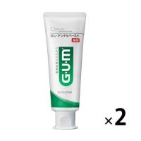 歯磨き粉 ガム デンタルペースト 120g 1セット（2本）サンスター GUM 歯周病予防 口臭防止 高濃度フッ素 虫歯予防