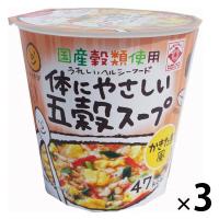 ヒガシマル 国産穀類使用 体にやさしい五穀スープ かきたま風 3個 カップスープ