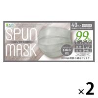SPUN MASK スパンレース 不織布 （グレー） 1セット（40枚入×2箱） 医食同源ドットコム 個包装 使い捨て カラーマスク