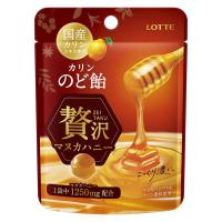 のど飴 キャンディ カリンのど飴 贅沢マヌカハニー ミニパウチ 25g 1個