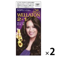 ウエラトーン 2+1 クリームタイプ 5GM 2個 [医薬部外品]（おしゃれな白髪染め）