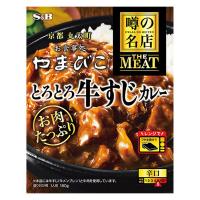 エスビー食品 噂の名店 THE MEAT とろとろ牛すじカレー 辛口 180g 1個 レンジ対応 レトルト