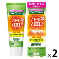 歯磨き粉 フッ素 ディープクリーン 温感ハミガキ 45g 1セット（2本）花王
