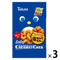 東ハト ソルティキャラメルコーン 11399 1セット(1袋×3)