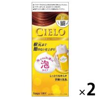 CIELO（シエロ）ムースカラー 1C キャメルブラウン 2個 ホーユー