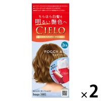 CIELO（シエロ） ヘアカラーＥＸクリーム 2FA フォギーアッシュ 2個 ホーユー