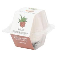 栽培キット　エッグリング ストロベリー LAKOLE/ラコレ