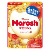 グミ 食べきりサイズ カンロ マロッシュアップルサイダー味 46g 1個