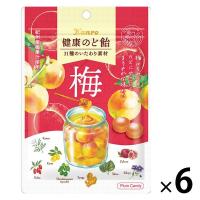 健康のど飴 梅　6袋 カンロ のど飴 キャンディ