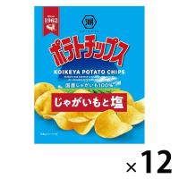小袋 ポテトチップス じゃがいもと塩 12袋 湖池屋 スナック菓子 おつまみ