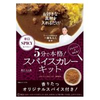 【ワゴンセール】5分で本格スパイスカレーキット 辛口 一条もんこ監修 約2〜3人前 1箱（わけあり品）