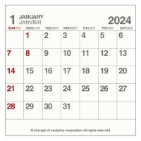 【2024年版カレンダー】エトランジェ・ディ・コスタリカ CD 卓上 日曜始まり CLS-CD-02 1冊