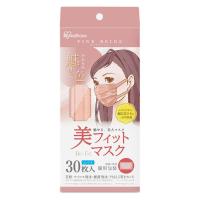 アイリスオーヤマ 美フィットマスク ふつう 30枚入 ピンクベージュ PK-BFC30MPB 1箱(30枚入)